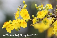 Lời Xuân